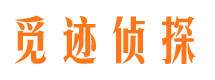 咸丰侦探公司